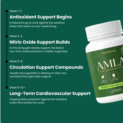 Amla Capsules - Blood Pressure Support