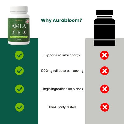 Amla Capsules - Energy Support