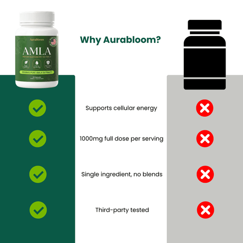 Amla Capsules - Energy Support