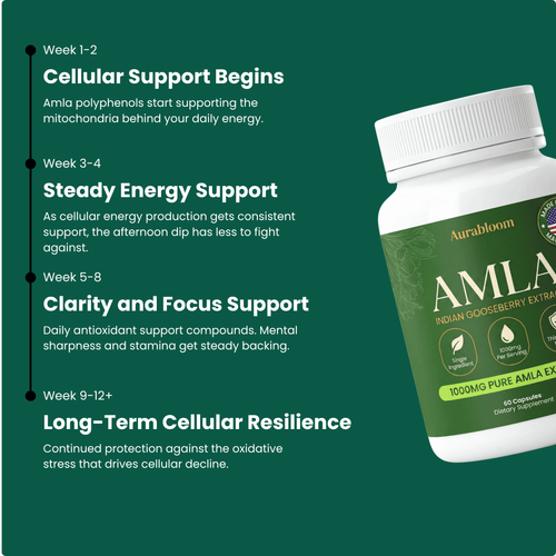 Amla Capsules - Energy Support